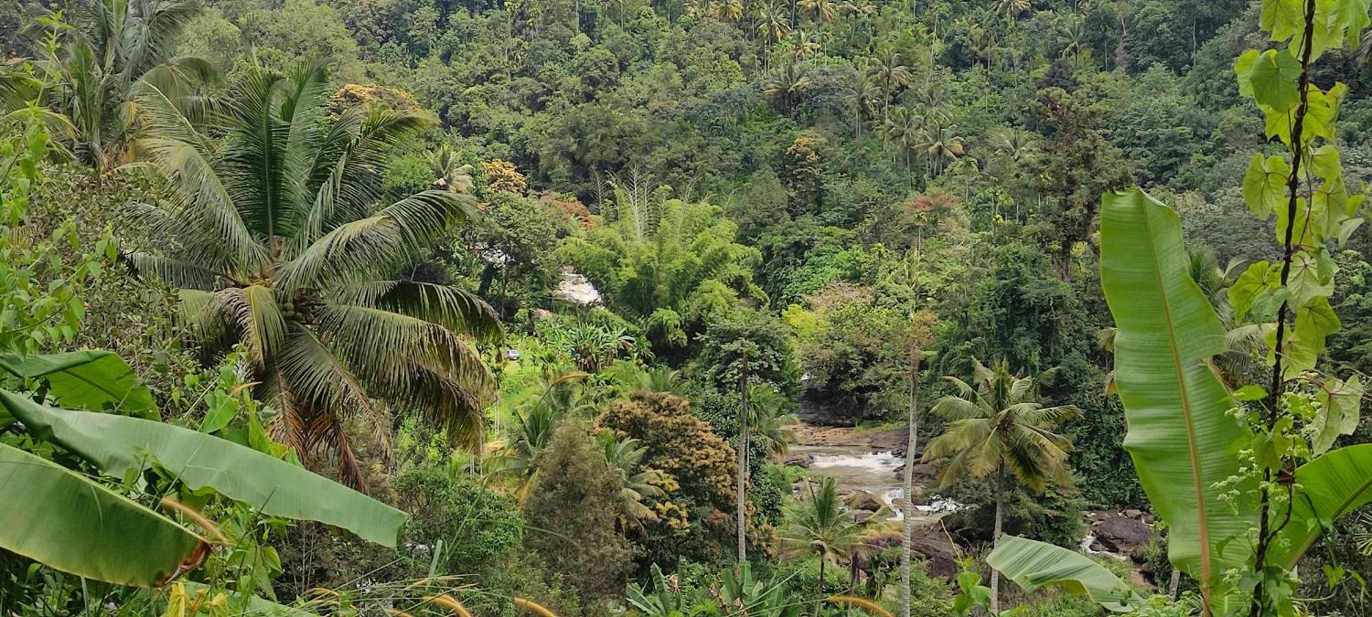 Munnar Village Homes Exteriér fotografie