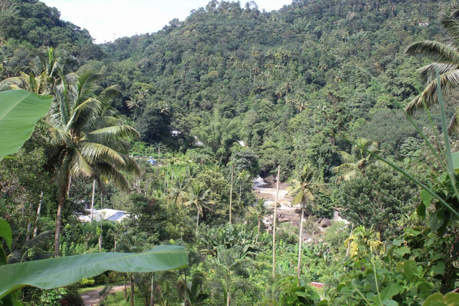 Munnar Village Homes Exteriér fotografie